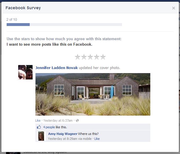 Facebook Newsfeed Survey