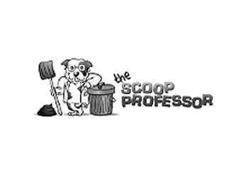 scroop_professor